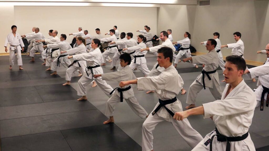 Karaté adulte Paris : cours de karaté Shotokan JKA pour adolescents et adultes karate adulte paris