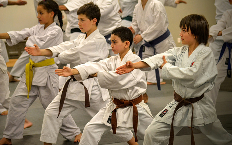 Pratique du Kihon au dojo Plusieurs jeunes élèves en kimono blanc alignés sur le tatami s'exercent ensemble au kihon.